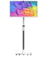 Smart TV port&aacute;til